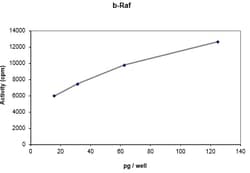 Eurofins DiscoverX B-Raf ( 1-415) Protein, Active 250 &mu;g | Buy Online | Eurofins DiscoverX | Fisher Scientific